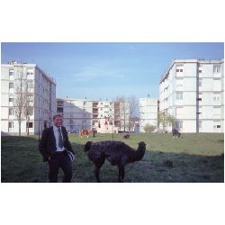 Harman's Llama.jpg